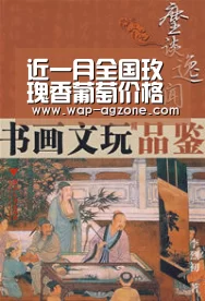近一月全国玫瑰香葡萄价格上涨明显-ag真