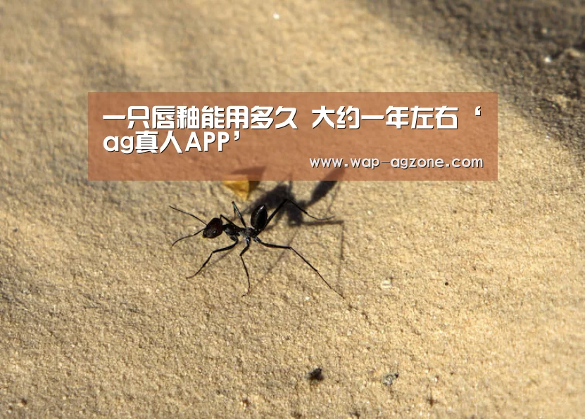一只唇釉能用多久 大约一年左右‘ag真人