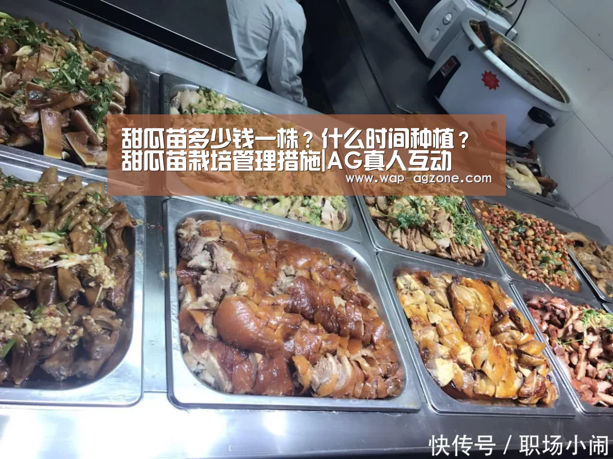 甜瓜苗多少钱一株?什么时间种植?甜瓜苗栽培管理措施|AG真人互动(图1) ag真人厅下载