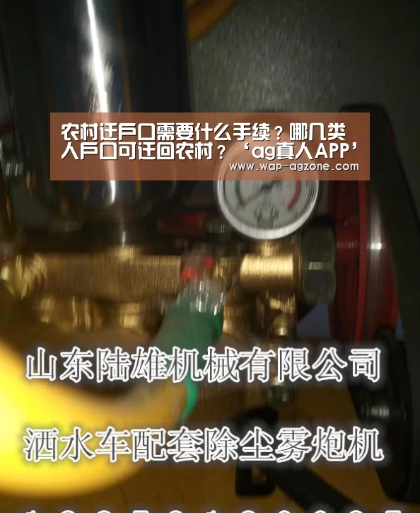 农村迁户口需要什么手续?哪几类人户口可迁回农村?‘ag真人APP’(图1) ag真人下载