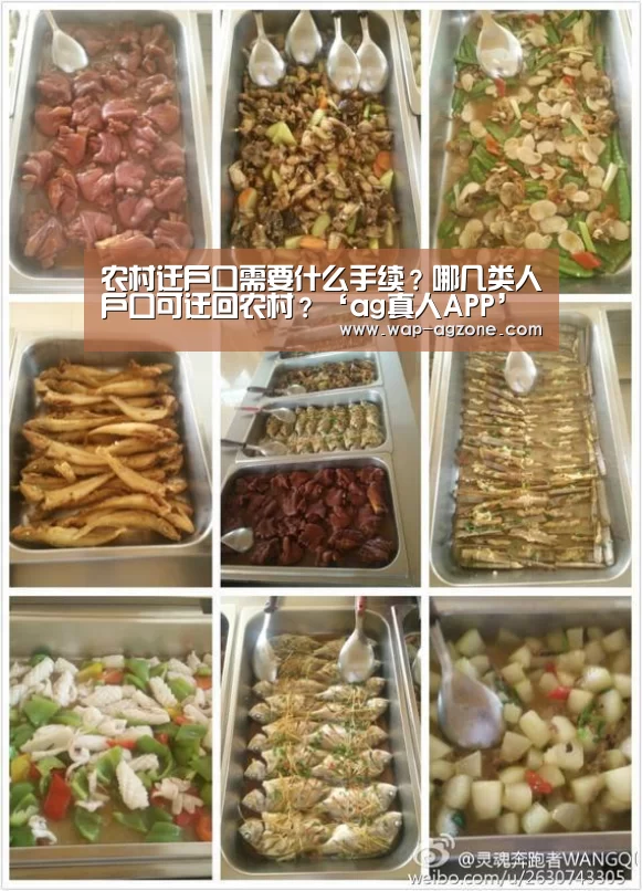 农村迁户口需要什么手续?哪几类人户口可迁回农村?‘ag真人APP’(图4) ag真人厅下载